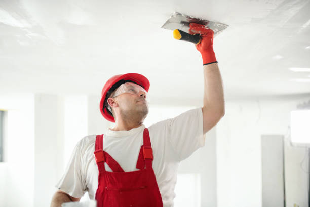 Best Mold Damage Restoration  in Trion, GA