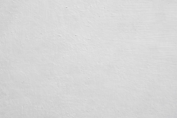 Mold Remediation for Vacation Homes in Trion, GA