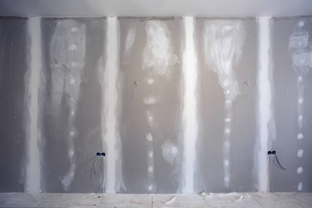 Best Environmental Consulting for Mold Prevention  in Trion, GA